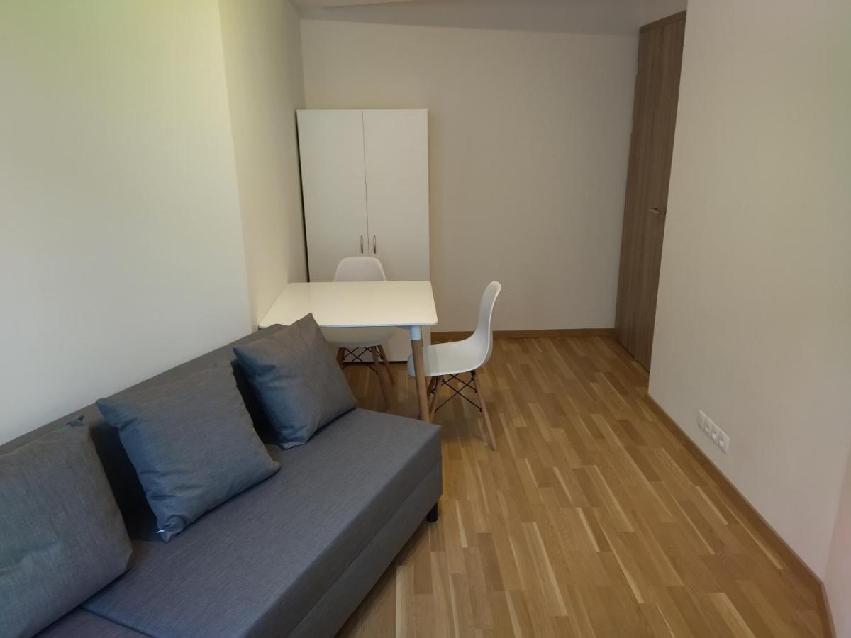 Brand New Two Room Apartment #34 With Free Secure Parking In The Center プラハ エクステリア 写真
